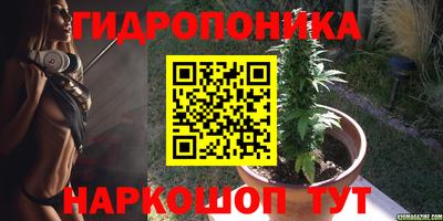 винт Будённовск