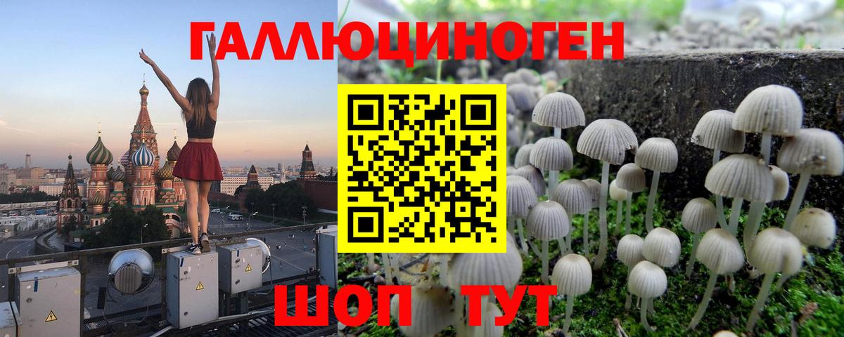 Псилоцибиновые грибы Magic Shrooms  Вход с VPN  Малгобек 