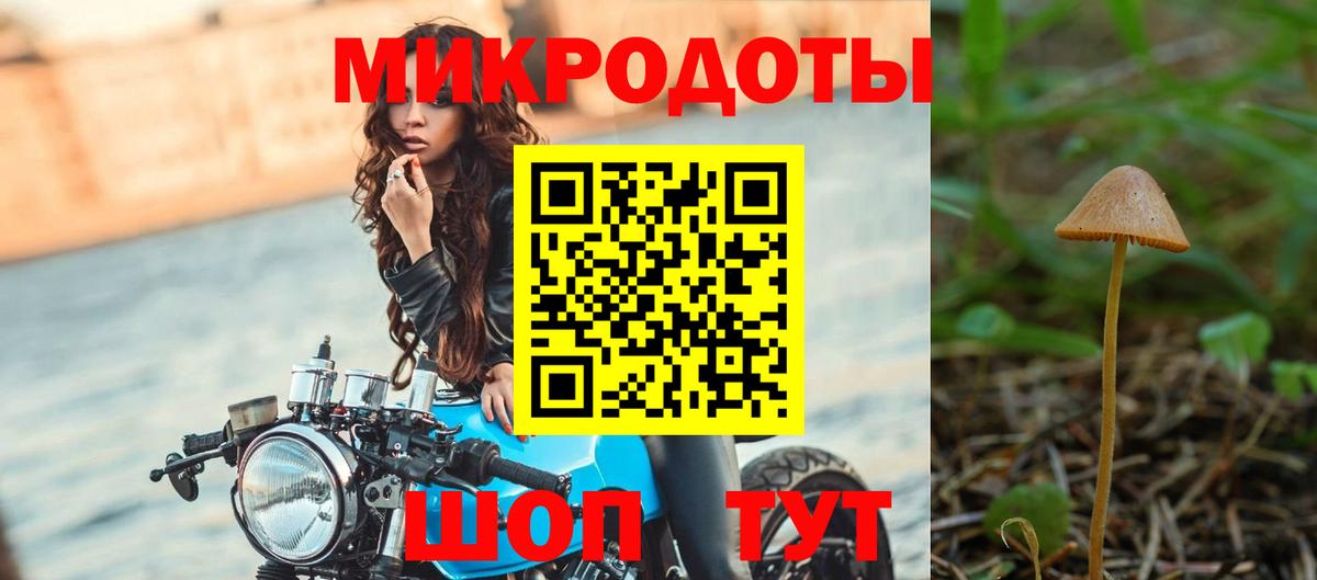 Галлюциногенные грибы ЛСД Малгобек